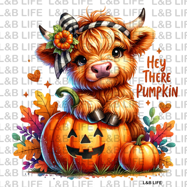 HEY THERE PUMPKIN
