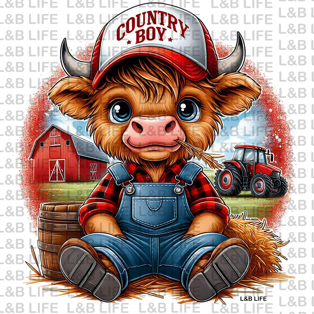 COUNTRY BOY COW