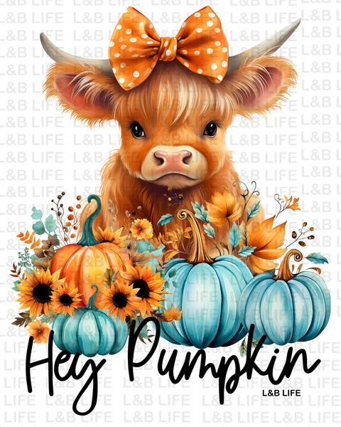 HEY PUMPKIN ORANGE BOW