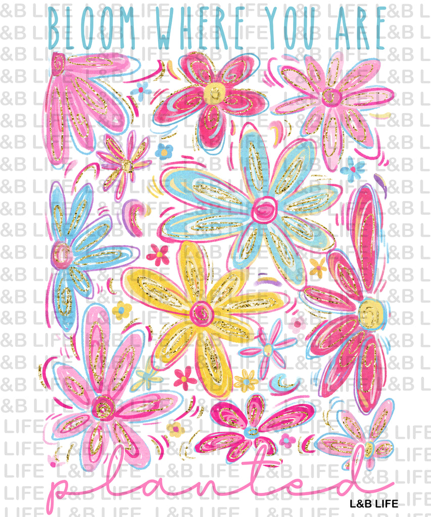 BLOOM WHERE YOU ARE PLANTED