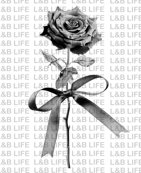 WHITE AND BLACK BOW ROSE