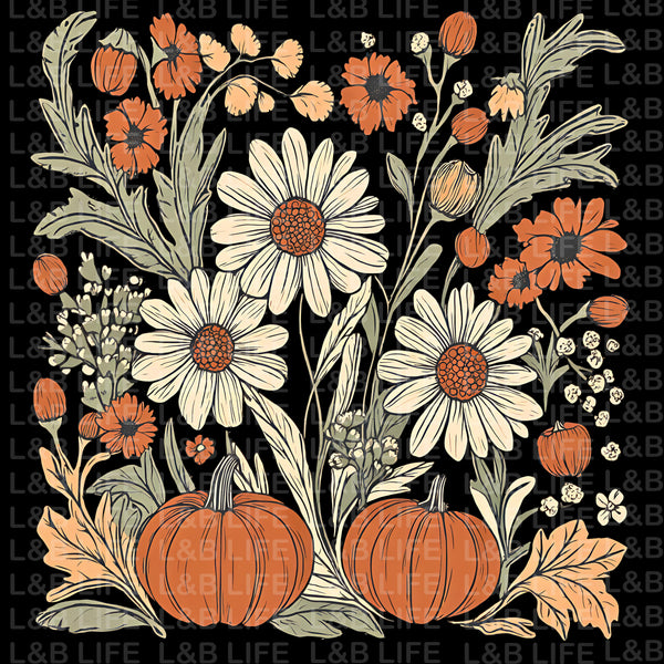 DAISY PUMPKINS