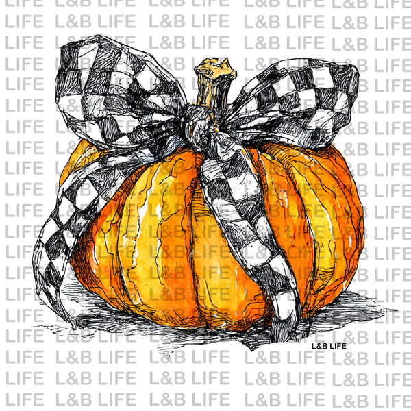 CHECKER BOW PUMPKIN