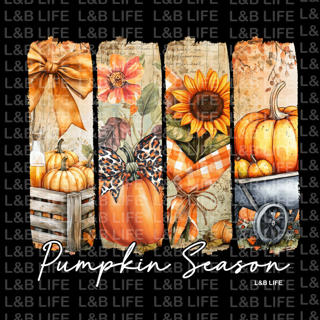 PUMPKIN SEASON