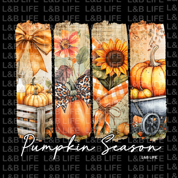 PUMPKIN SEASON