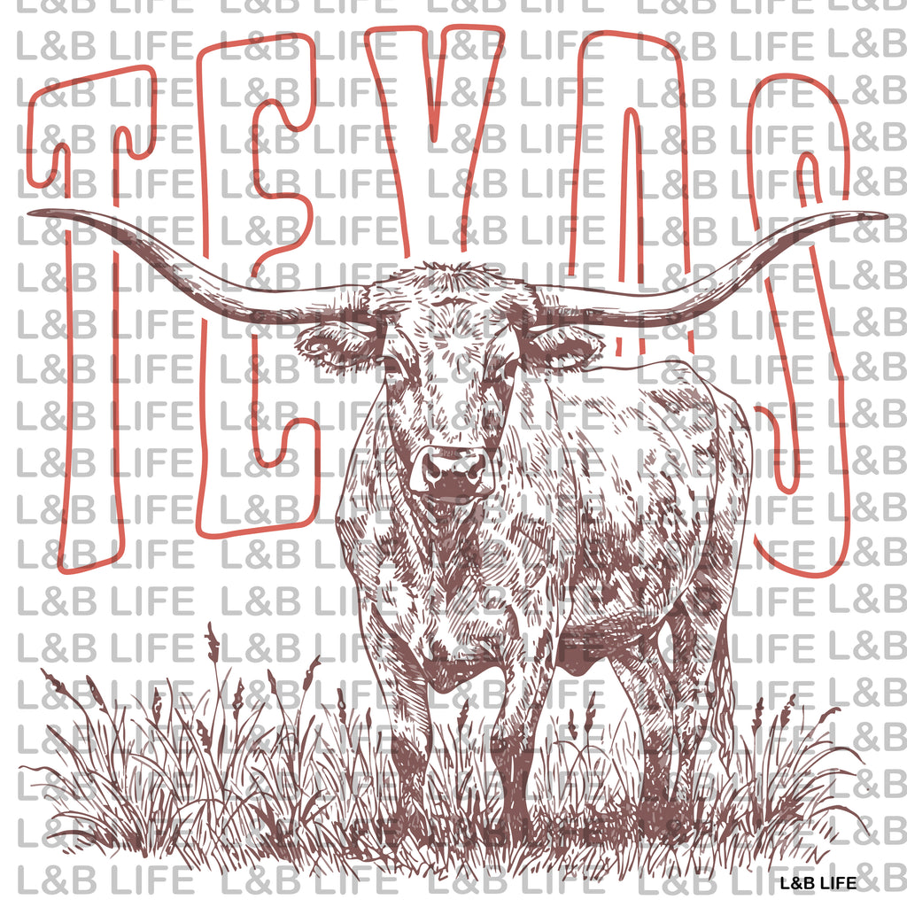 TEXAS LONGHORN
