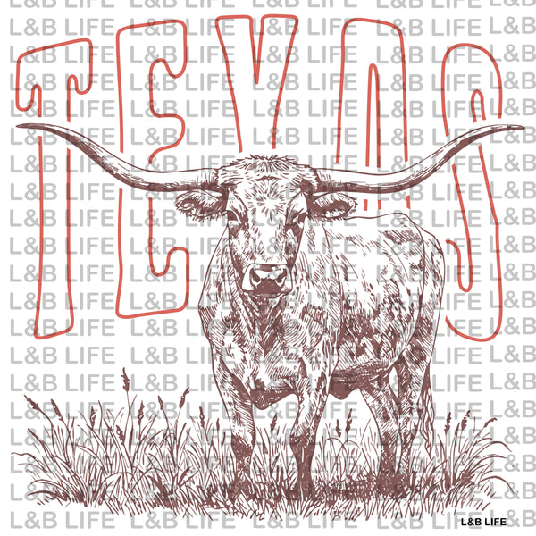 TEXAS LONGHORN