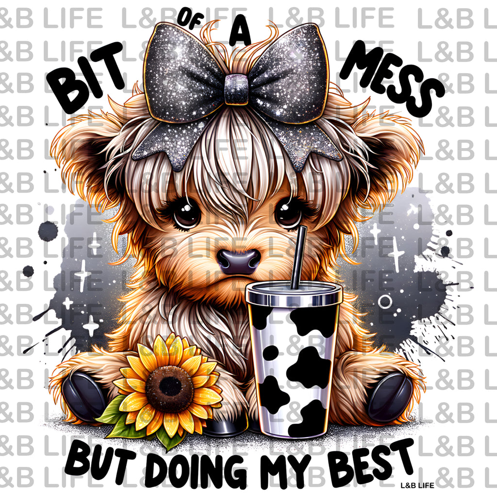 BIT OF A MESS BUT DOING MY BEST