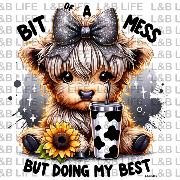 BIT OF A MESS BUT DOING MY BEST