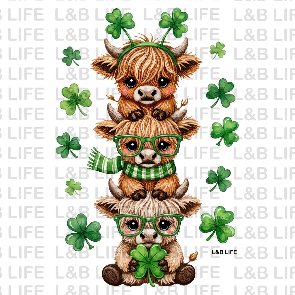 CLOVER 3 COWS