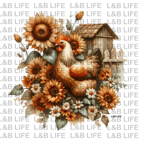 SUNFLOWERS CHICKENS