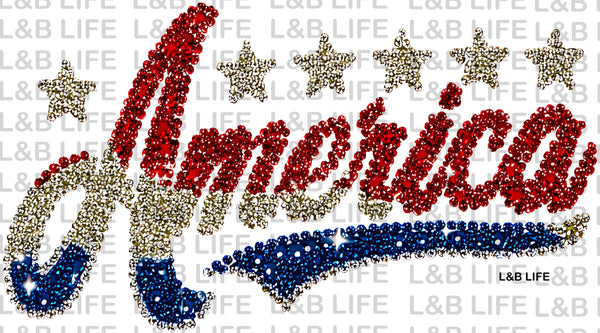 AMERICA STARS