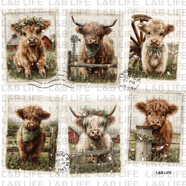 POST CARD MINI COWS
