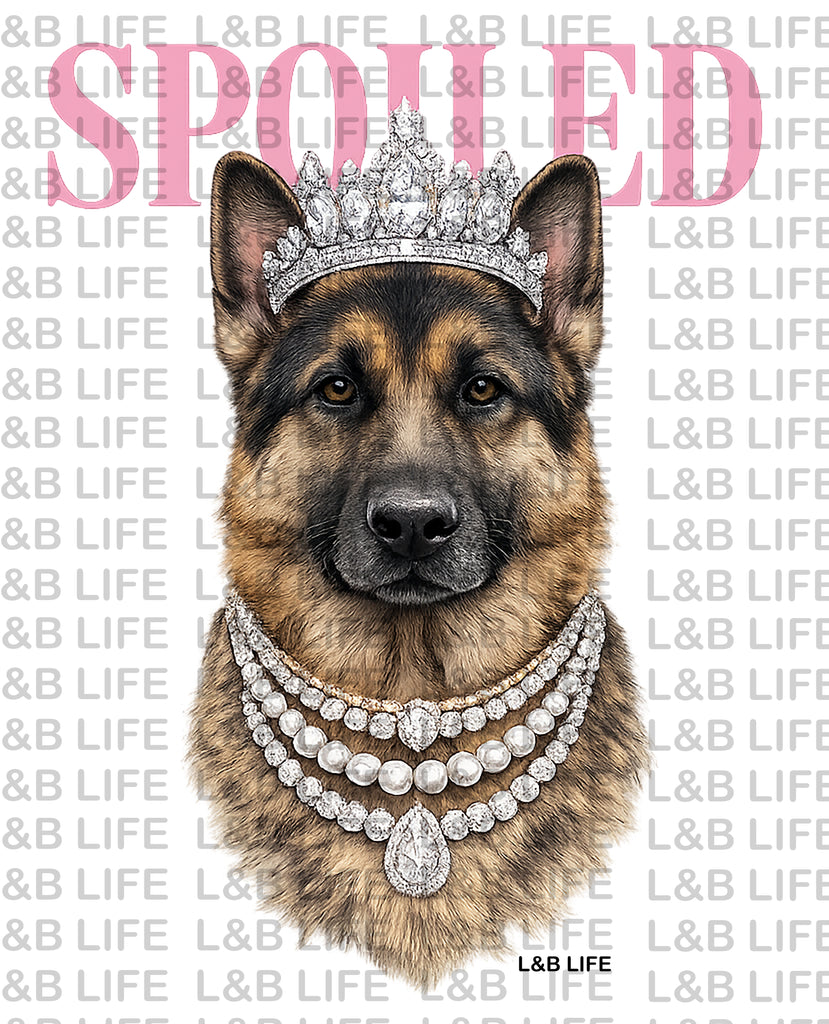German Shepherd SPOILED
