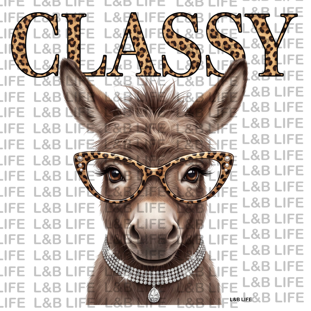 CLASSY DONKEY