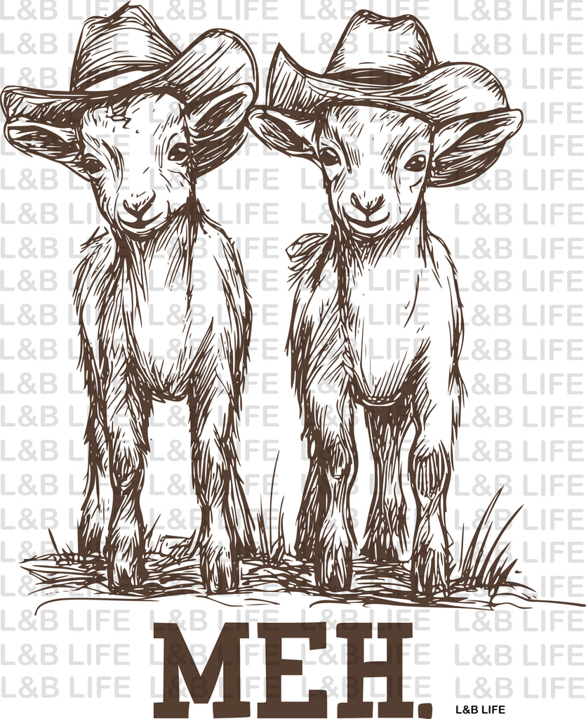 MEH GOATS