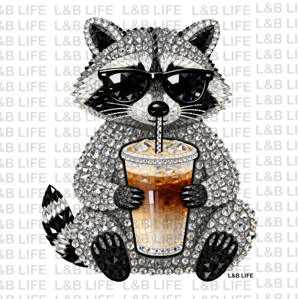 GEMS RACOON
