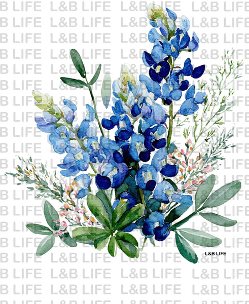 BLUEBONNET