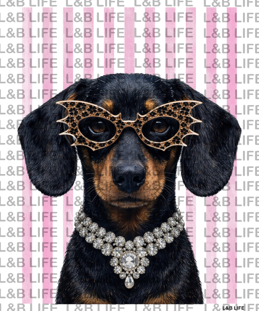 BOUJEE LEO GLASSES PUP