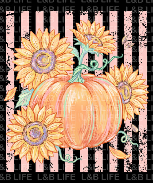 STRIPE SUNFLOWER PUMPKIN