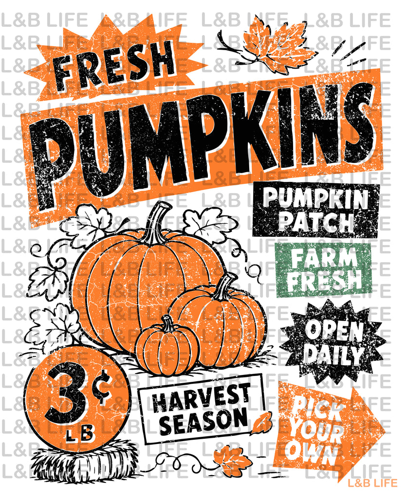 FRESH PUMPKINS