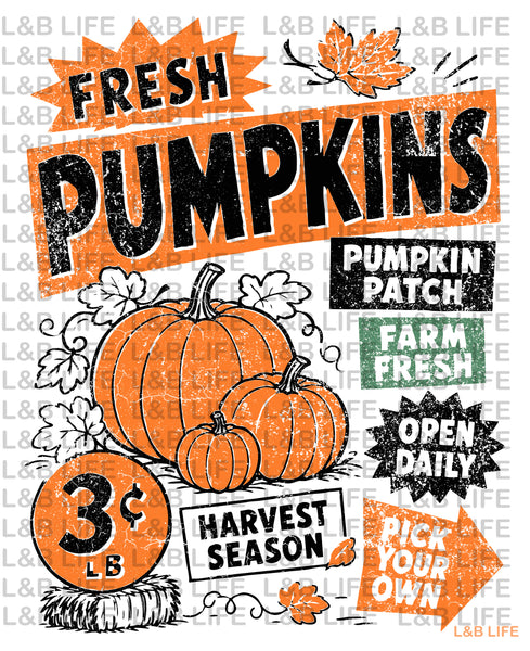 FRESH PUMPKINS