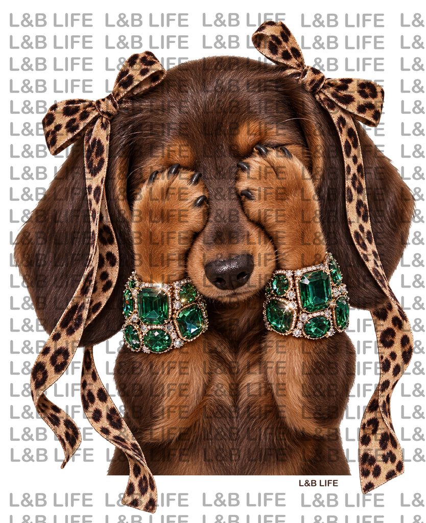 BOHO PUP QUEEN