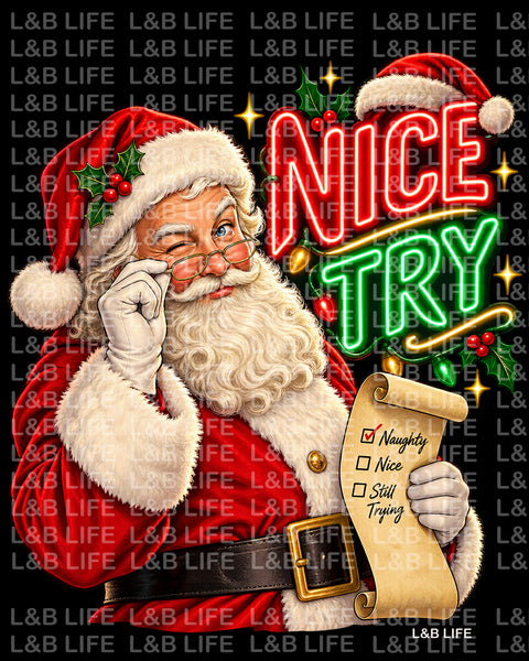 NICE TRY SANTA