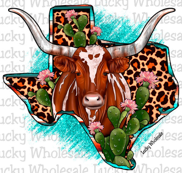 LEO LONGHORN TEXAS
