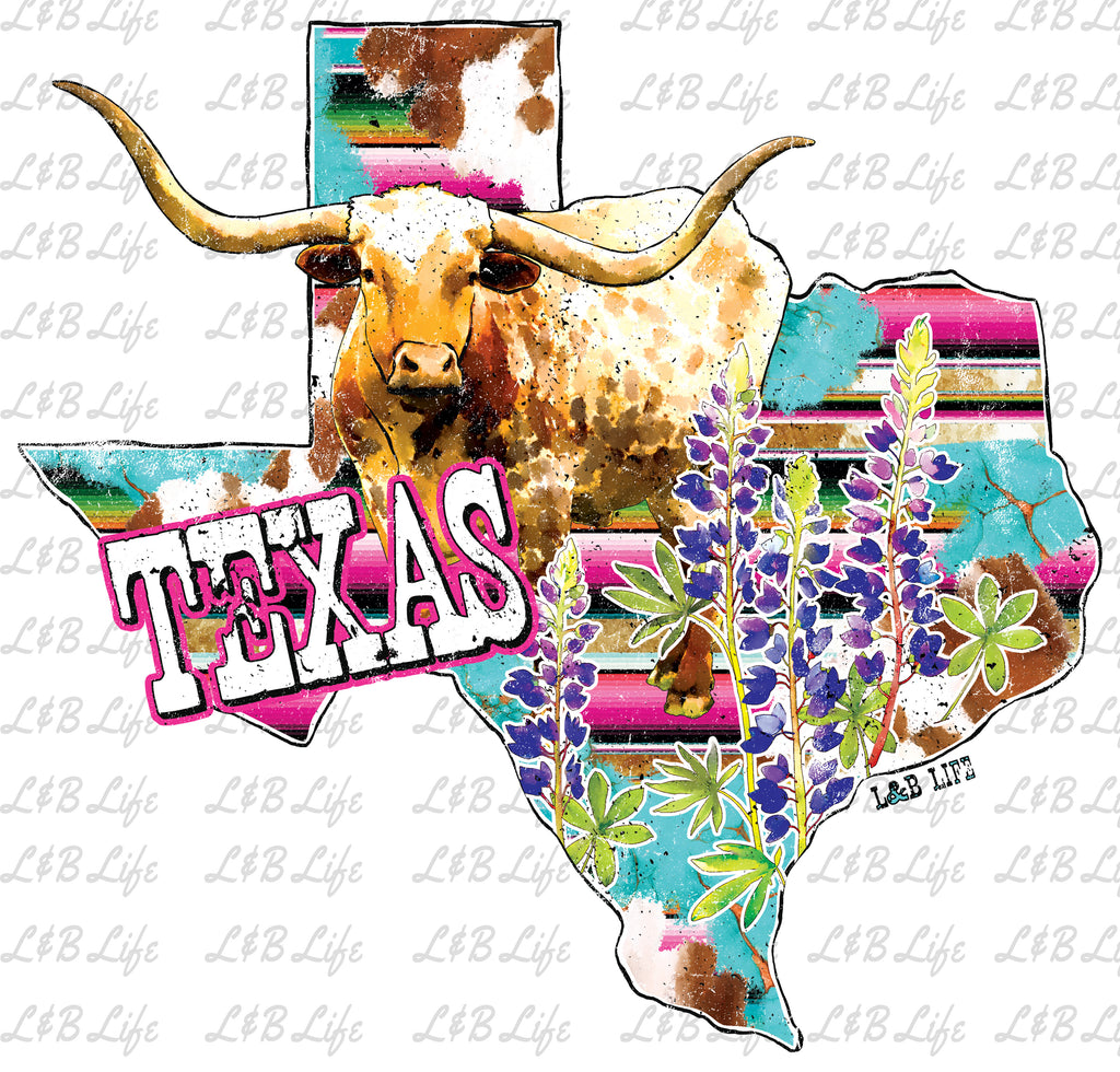 TEXAS COW