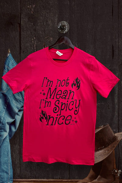 BC DTF IM NOT MEAN IM SPICY NICE - FUSHIA PINK