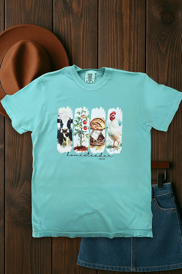 CC DTF HOMESTAEDER - MINT