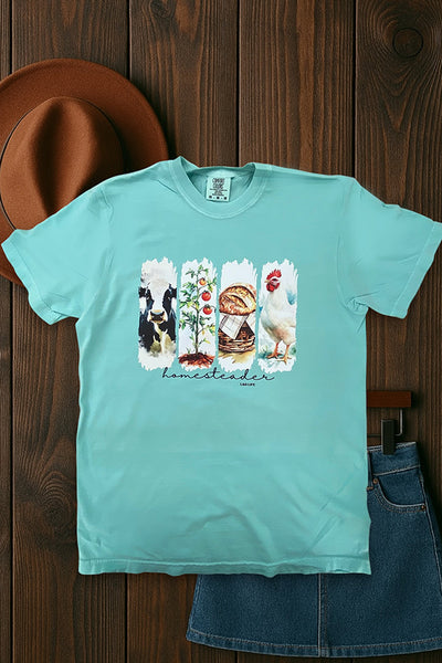 CC DTF HOMESTAEDER - MINT