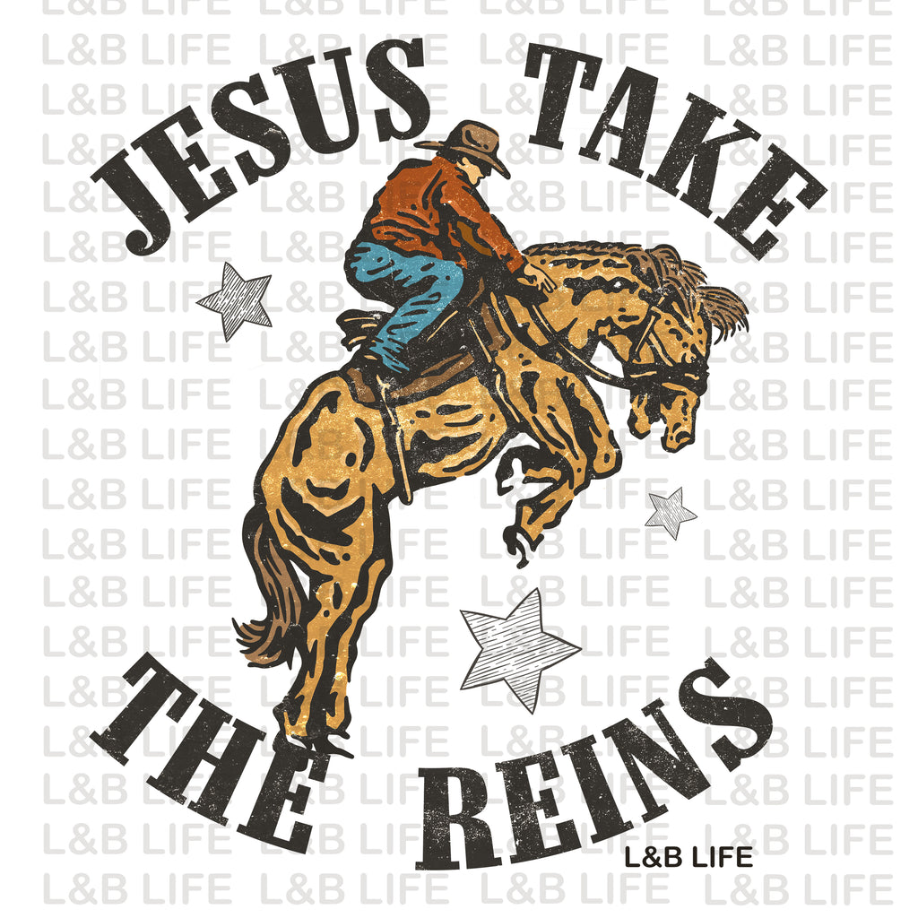 JESUS TAKE THE REINS ( VINTAGE )