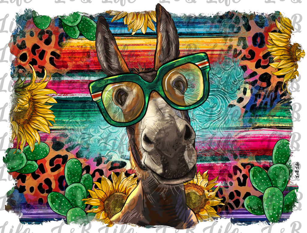 GLASSES DONKEY